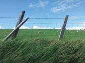 Sulle eccessive preoccupazioni l’astensionismo