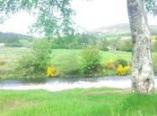 Luca reclama giustizia sonetto Jena Camuna