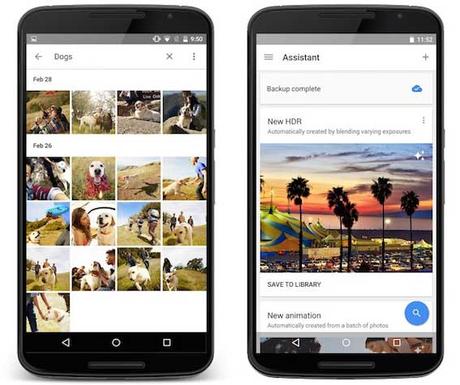 Google Foto, ecco perché bisognerebbe averlo sui nostri dispositivi