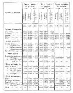 Fabbisogno in nutrienti dell'olivo secondo il COMM. PROF. PIETRO CUPPARI Direttore deIl' Istituto Agrario dell’Università di Pisa