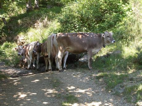 Il Tobbio da Molini di Fraconalto (AL)