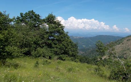 Il Tobbio da Molini di Fraconalto (AL)