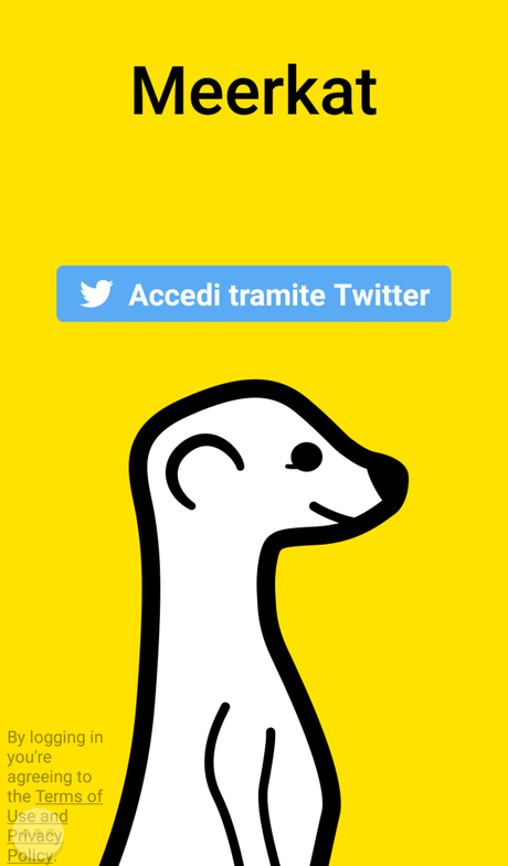 meerkat screen 2