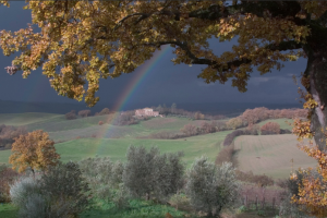 Il Paradiso di Frassina