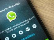 WhatsApp: arrivano chiamate grazie all’ultima beta Windows Phone
