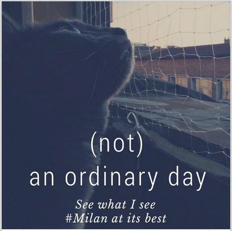 steller-ordinary-day1
