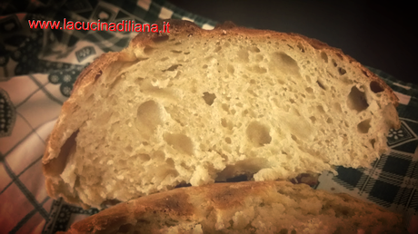 Pane con Kamut a lievitazione naturale