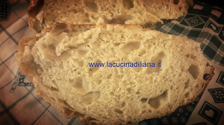 Pane con Kamut a lievitazione naturale