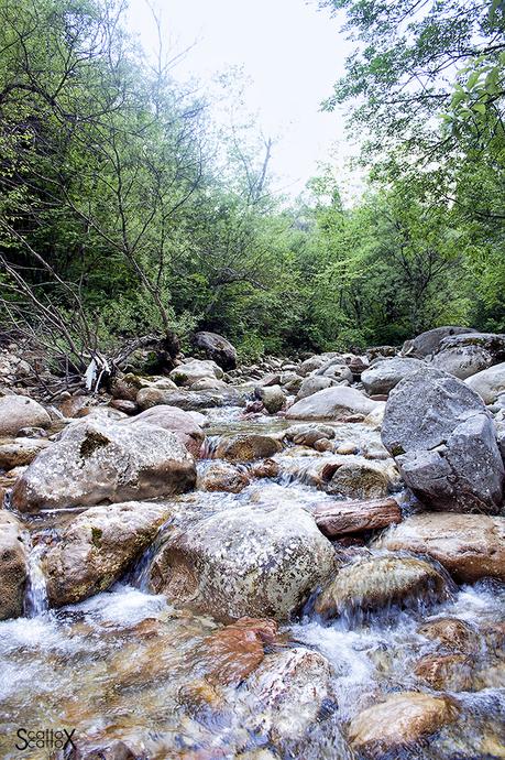 Il canyon dei Brent de l'Art: il meraviglioso lavoro dell'acqua in Valbelluna