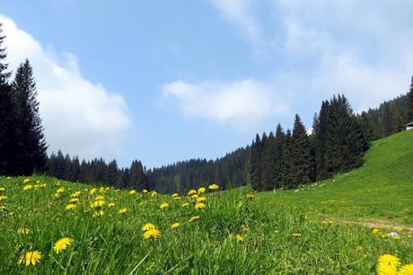 escursione per le malghe sull'altopiano di asiago