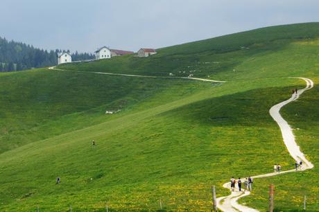 escursione per le malghe sull'altopiano di asiago