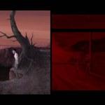 dead-synchronicity-09