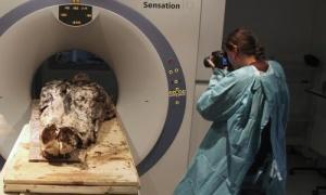 Trovato il corpo di una nobildonna di 350 anni fa