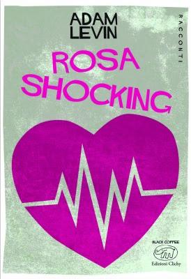 Rosa shocking di Adam Levin