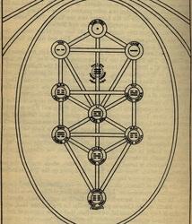 STRUTTURE TOROIDALI E UNIVERSO