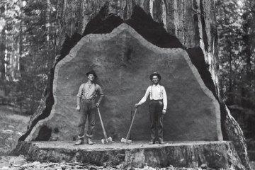 Valtellina sulle orme de La Scalata, un’avventura dal virtuale al reale