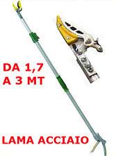 Linee Guida per la Potatura dei novantadue (92) oleandri di Via Matteotti a San Cesario di Lecce (46 lato destro e 46 lato sinistro)