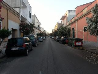 Linee Guida per la Potatura dei novantadue (92) oleandri di Via Matteotti a San Cesario di Lecce (46 lato destro e 46 lato sinistro)