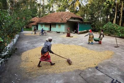 Steve McCurry, a Milano la mostra dedicata al caffè