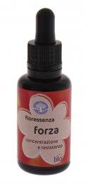 Forza - Floressenza