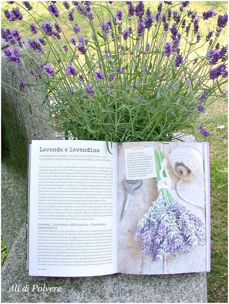 Buon Gardening! Il libro di Simonetta Chiarugi