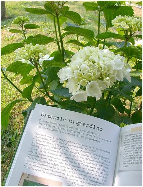 Buon Gardening! Il libro di Simonetta Chiarugi