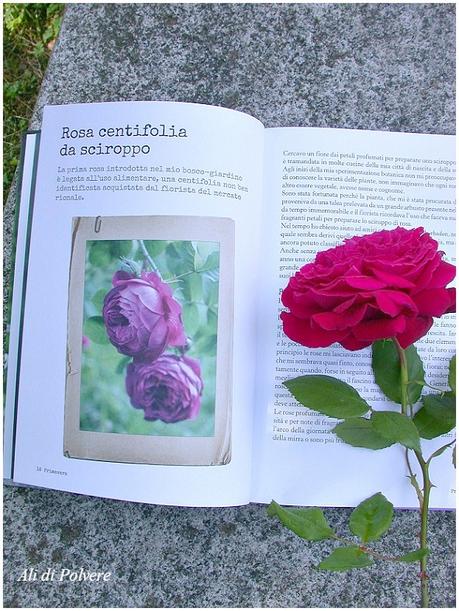 Buon Gardening! Il libro di Simonetta Chiarugi