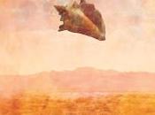 Mountain County Breaking Sound