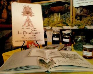 In Puglia ritorna la cultura delle piante officinali con l'associazione La Mandragora