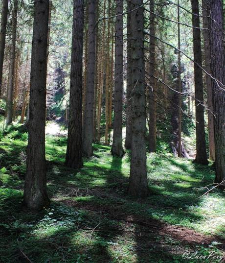 San Candido, sport e natura all’ombra dell’Austria