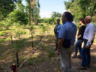 PAVIA. Rinasce il Bosco Grande: terminata la piantumazione.