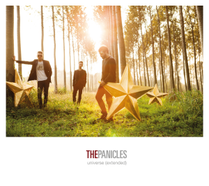 the panicles COVER_universe2