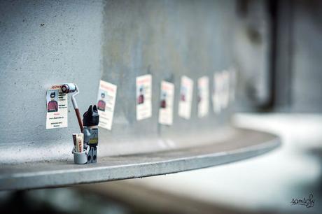 Samsofy e il suo mondo di Lego batman