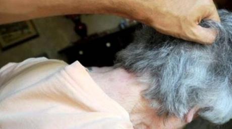 violenza ai genitori