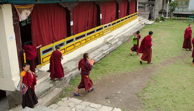 Taste of Sikkim 4