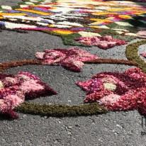 Infiorata di Spello