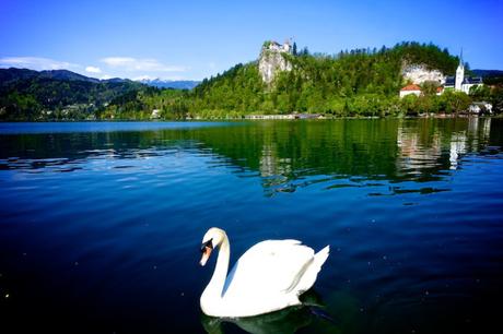 Grotte, Alpi, laghi e buona cucina: benvenuti in Slovenia