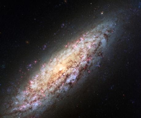 Questa immagine ripresa da Hubble Space Telescope di ESA e NASA riprende la galassia NGC 6503 ai bordi del vuoto locale 