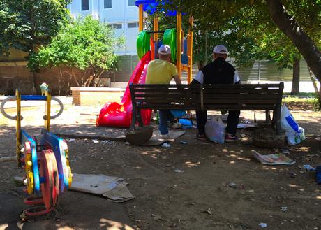 Foto che rimarranno nella storia. 35 scatti dai giardini pubblici di Piazza Dante: siringhe conficcate negli alberi e altre storie dell'orrore