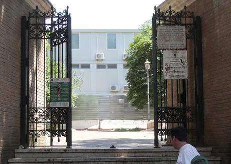 Foto che rimarranno nella storia. 35 scatti dai giardini pubblici di Piazza Dante: siringhe conficcate negli alberi e altre storie dell'orrore