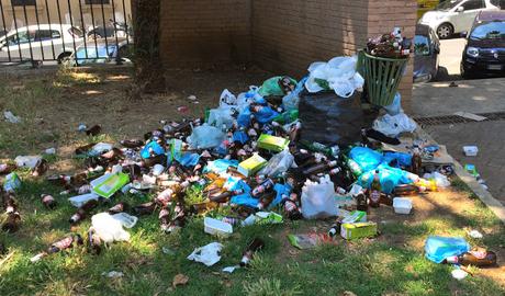 Foto che rimarranno nella storia. 35 scatti dai giardini pubblici di Piazza Dante: siringhe conficcate negli alberi e altre storie dell'orrore