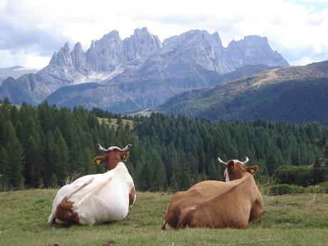 Trentino tra natura e benessere