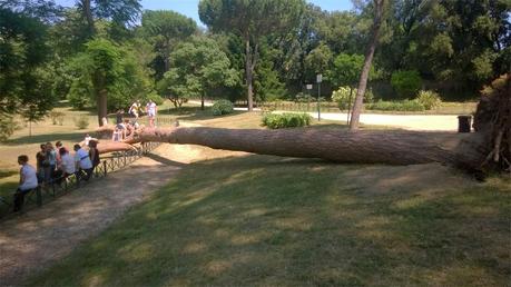 15 foto che ti dimostrano come ci stiamo giocando anche Villa Pamphili. Ennesimo gioiello abbandonato dall'Assessorato all'Ambiente