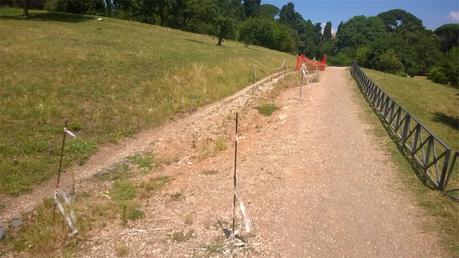 15 foto che ti dimostrano come ci stiamo giocando anche Villa Pamphili. Ennesimo gioiello abbandonato dall'Assessorato all'Ambiente