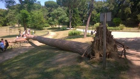 15 foto che ti dimostrano come ci stiamo giocando anche Villa Pamphili. Ennesimo gioiello abbandonato dall'Assessorato all'Ambiente