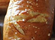 Panini Pretzel