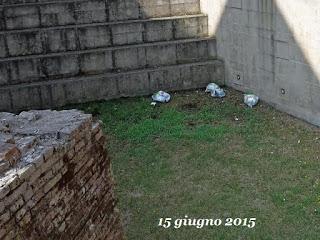 La discarica farnesiana