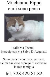 Il nonno, il nipote ed il gatto Pippo