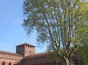 PAVIA. calendario delle proposte estive Sistema Museale Pavia.
