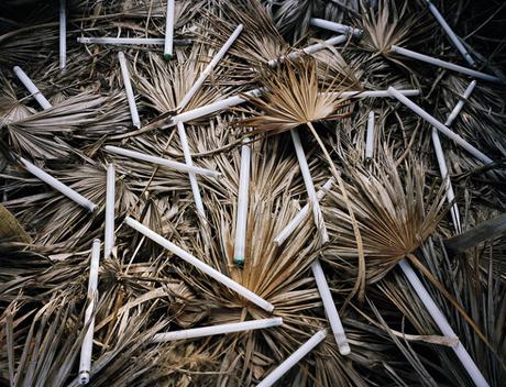 FOTOGRAFIA: Alejandro Durán | Uomini e natura FOTOGRAFIA: Alejandro Durán | Uomini e natura